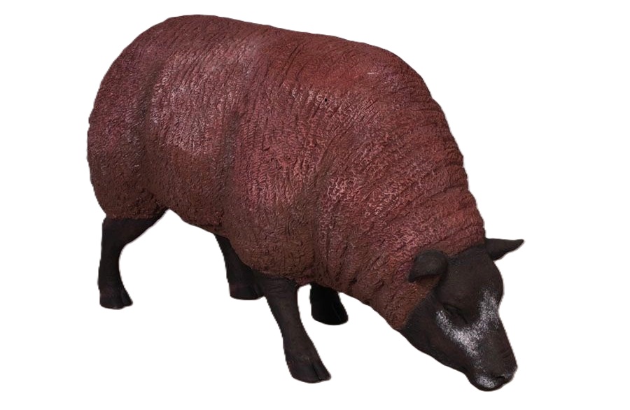 Texel sheep – unique fiberglass advertising or art for target audience – home, garden, public